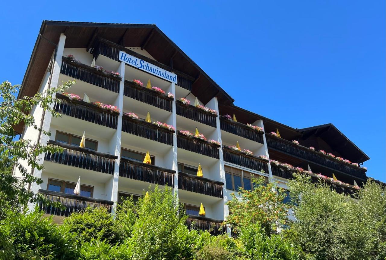 Hotel Schauinsland Bad Peterstal-Griesbach Kültér fotó