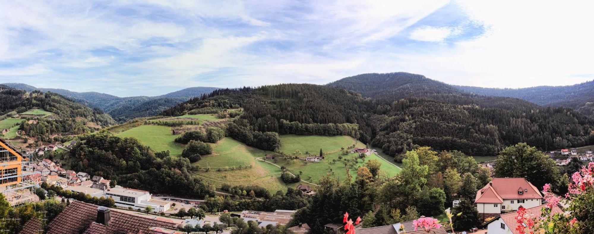 Hotel Schauinsland Bad Peterstal-Griesbach Kültér fotó