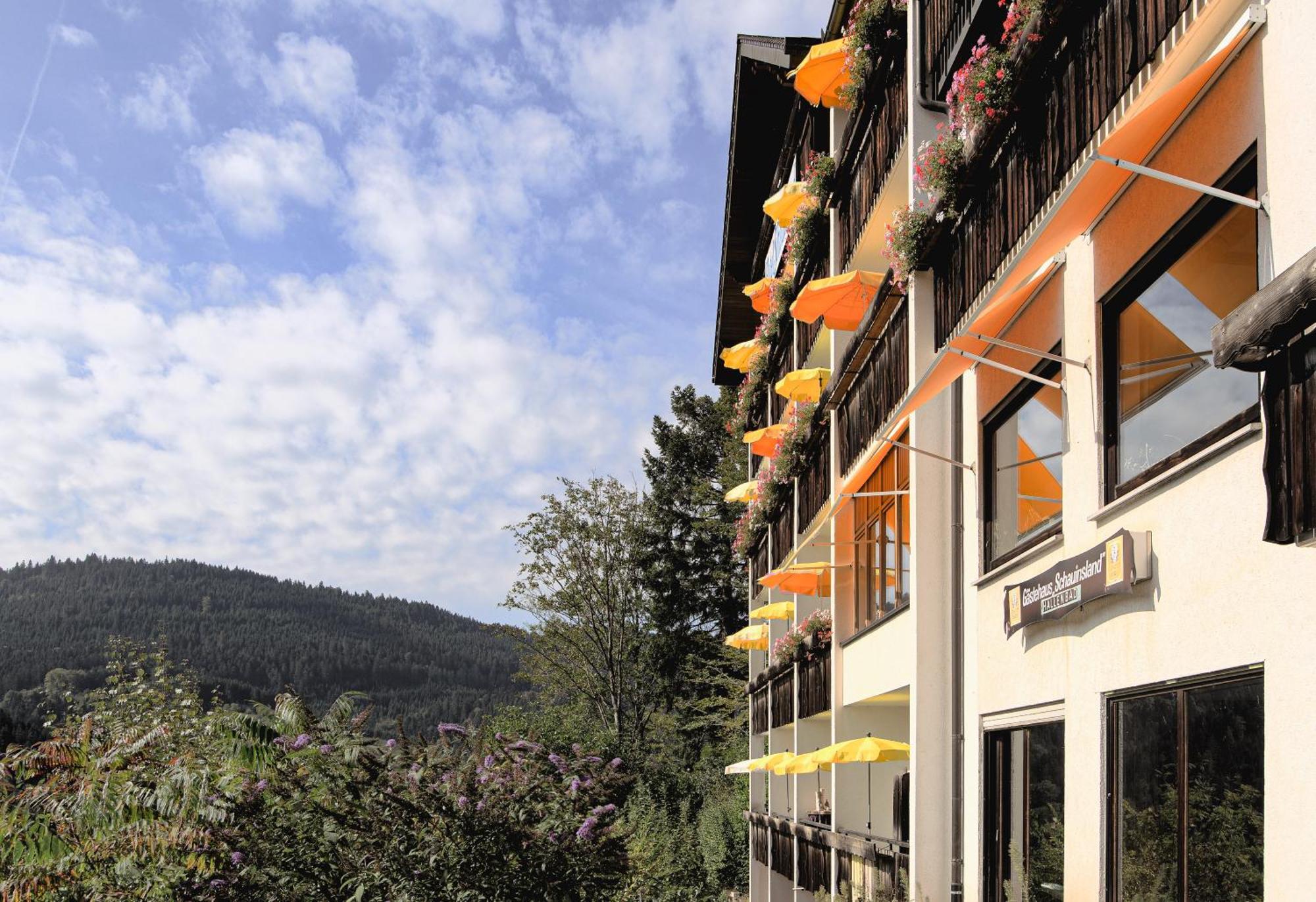 Hotel Schauinsland Bad Peterstal-Griesbach Kültér fotó