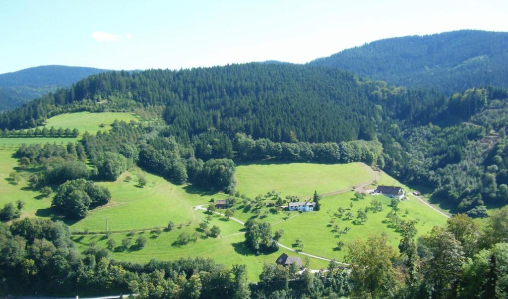 Hotel Schauinsland Bad Peterstal-Griesbach Szoba fotó